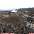 09_30-nest.jpg