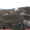 09_35-nest.jpg