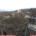 09_40-nest.jpg