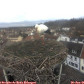09_45-nest.jpg