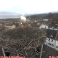 09_55-nest.jpg