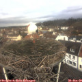 10_10-nest.jpg