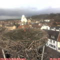 10_20-nest.jpg