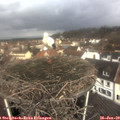10_25-nest.jpg
