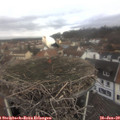 10_30-nest.jpg
