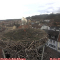 10_35-nest.jpg