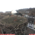 10_40-nest.jpg