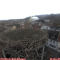 11_05-nest.jpg