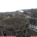 11_10-nest.jpg