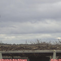 11_50-mast.jpg