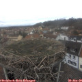 11_50-nest.jpg