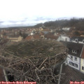 11_55-nest.jpg
