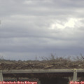 12_00-mast.jpg