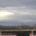 12_05-mast.jpg