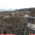12_05-nest.jpg