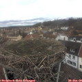 12_10-nest.jpg