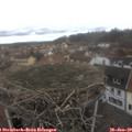 12_15-nest.jpg