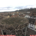 12_20-nest.jpg