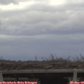 12_25-mast.jpg