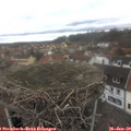 12_25-nest.jpg