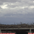 12_30-mast.jpg