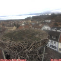 12_30-nest.jpg