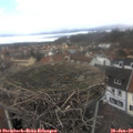 12_40-nest.jpg