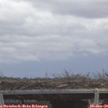 12_45-mast.jpg