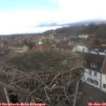 12_45-nest.jpg