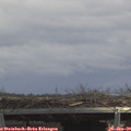 12_50-mast.jpg