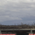 12_55-mast.jpg