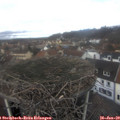 12_55-nest.jpg