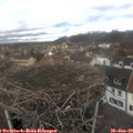 13_00-nest.jpg