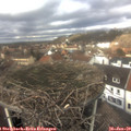 13_05-nest.jpg