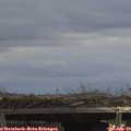 13_10-mast.jpg