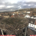 13_10-nest.jpg