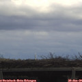 13_15-mast.jpg