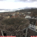 13_15-nest.jpg