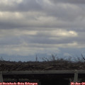 13_35-mast.jpg
