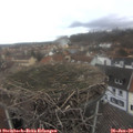 13_35-nest.jpg
