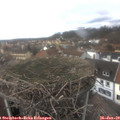 13_40-nest.jpg
