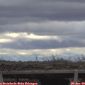 13_45-mast.jpg