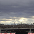 13_55-mast.jpg