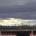 14_00-mast.jpg