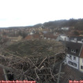 14_05-nest.jpg