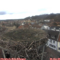 14_10-nest.jpg