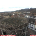 14_15-nest.jpg