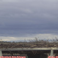 14_20-mast.jpg
