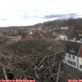 14_20-nest.jpg