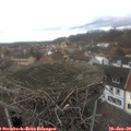 14_25-nest.jpg